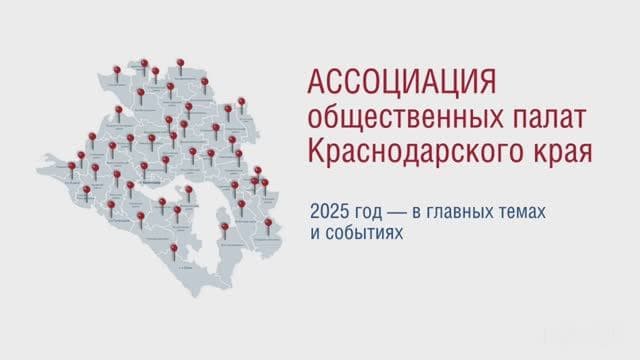 Муниципальные общественные палаты: 2025 год в главных темах и событиях